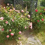 Ehemalige Bibliothek Fuer 2 Mit Kueche Kamin Netflix Parken Und Hofladen * Steinhofel