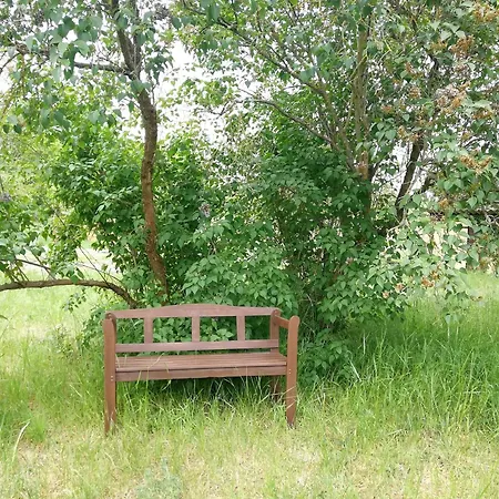 Ehemalige Bibliothek Fuer 2 Mit Kueche Kamin Netflix Parken Und Hofladen 아파트 *