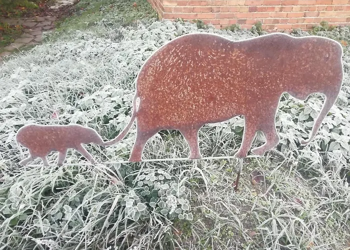 Ehemalige Bibliothek Für 2 Mit Küche Kamin Netflix Parken Und Hofladen