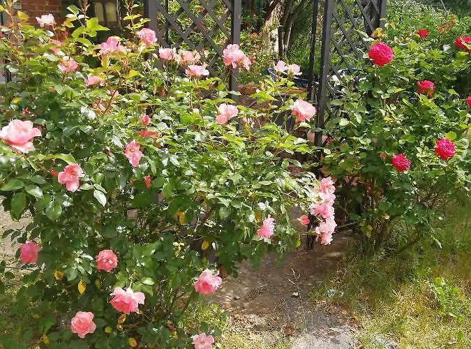 Ehemalige Bibliothek Fuer 2 Mit Kueche Kamin Netflix Parken Und Hofladen * Steinhofel