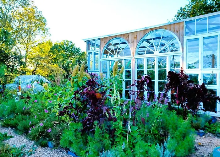 Apartamento Ehemalige Bibliothek Für 2 Mit Küche Kamin Netflix Parken Und Hofladen
