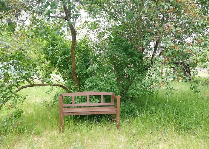 Ehemalige Bibliothek Fuer 2 Mit Kueche Kamin Netflix Parken Und Hofladen Lejlighed *